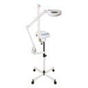 PARAGON Spartan Facial Steamer and 186A Lamp Combo Set