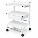 PARAGON Bragg 3-Tier Spa Cart